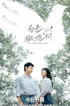 白色橄榄树封面图